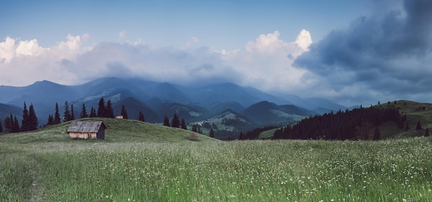 Carpathian mountain landscape