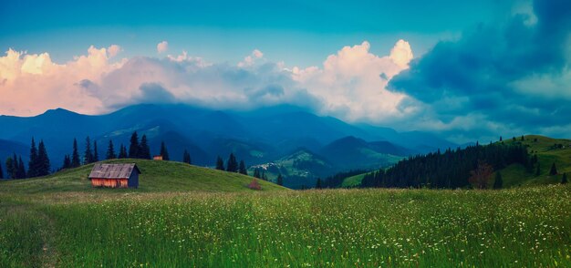 Carpathian mountain landscape