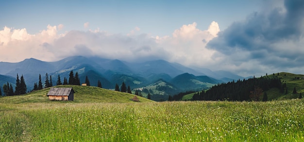 Carpathian mountain landscape