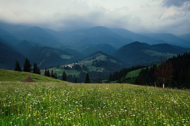 Carpathian mountain landscape