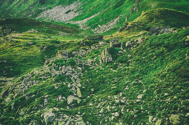 Carpathian mountain landscape