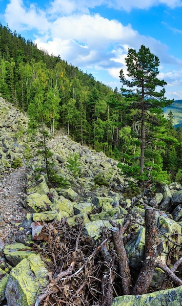 Carpathian Mountain summer landscape with sky and cumulus clouds, fir forest and slide-rocks.