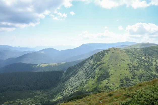 Carpathian mountains, green and flowering mountain tops. Clear sky with sun and white clouds.