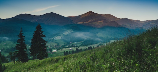 Carpathian mountains summer landscape with fir trees, vintage hipster amazing background. Panoramic view