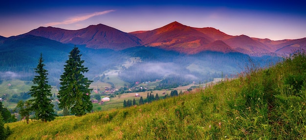 Carpathian mountains summer landscape with fir trees vintage hipster amazing background Panoramic view