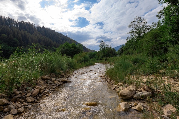 Carpathian mountains in the summer