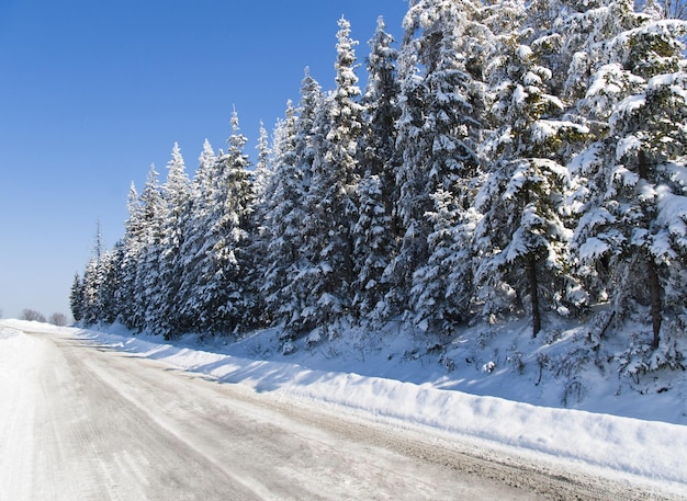 Carpathian mountains Ukraine Beautiful scenery of snowy mountains