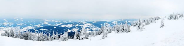 Carpathian mountains Ukraine Trees covered with hoarfrost and snow in winter mountains Christmas snowy background