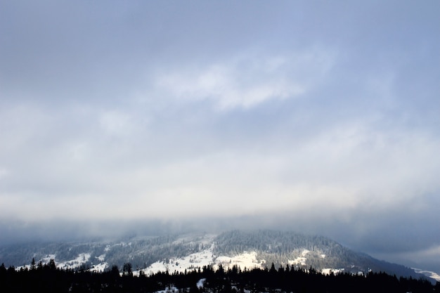 Carpathian mountains in Ukraine. Winter landscape