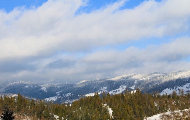 Carpathian mountains in Ukraine. Winter landscape