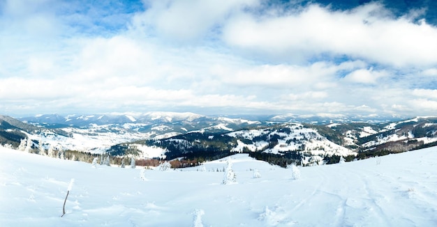 Carpathian mountains Ukraine Wonderful snowcovered firs against the backdrop of mountain peaks Panoramic view of the picturesque snowy winter landscape Gorgeous and quiet sunny day