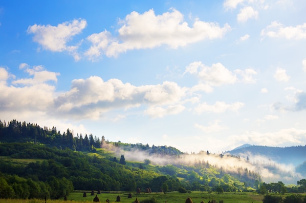 Carpathian nature in summer