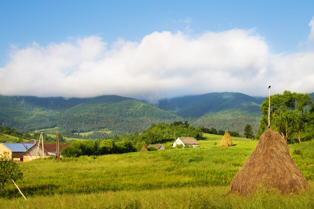 Carpathian nature in summer