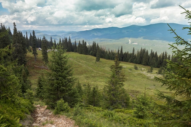 Carpathian steppe in the middle of the forest with a view of the Gorgan massif