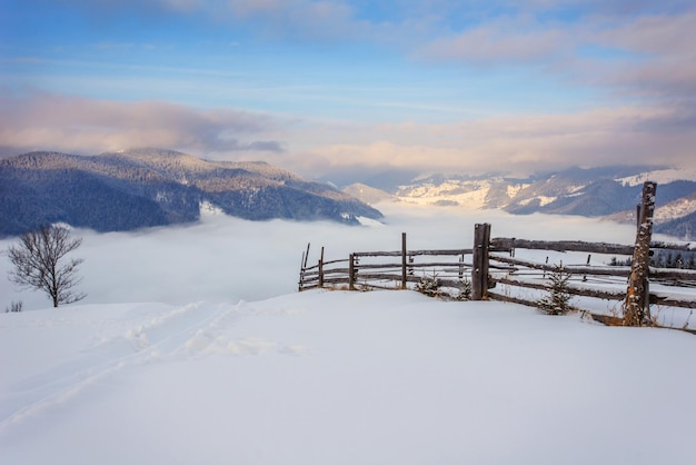 Photo carpathian winter mountains