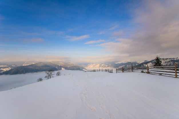 Carpathian winter mountains