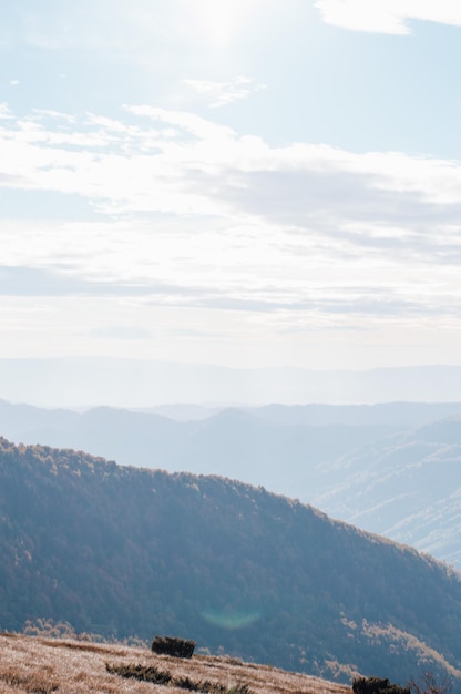 Carpathians Highland with giant forestry mountains and grassy hills