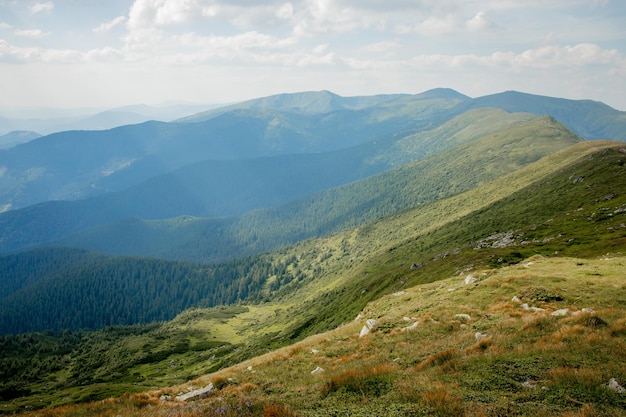 Carpathians mountain range at summer morning Beauty of wild virgin Ukrainian nature Peacefulness