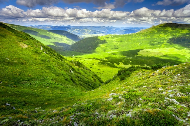 Carpatian summer landscape. 