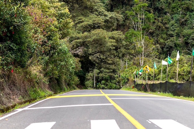 carretera en medio de la selva amazonica de ecuador