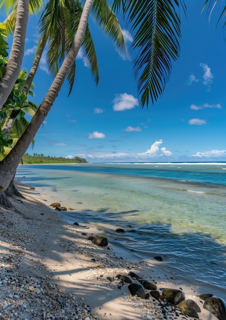 Carribean summer vacation and travel concept photo of sandy beach and ocean tide at tahiti palms