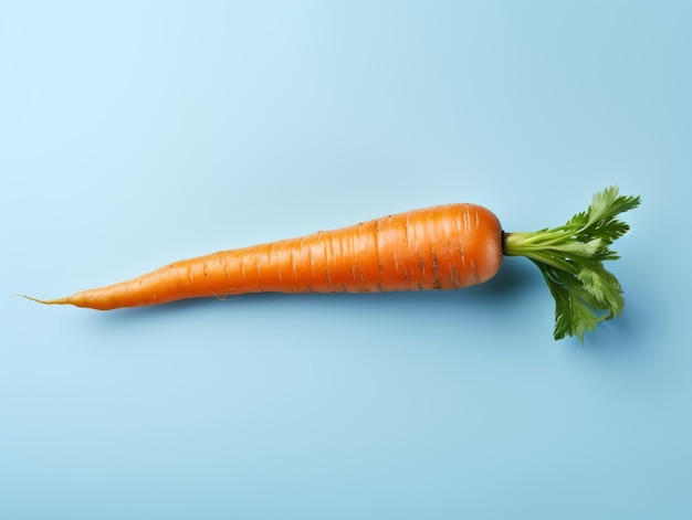 A carrot isolated on a blue background