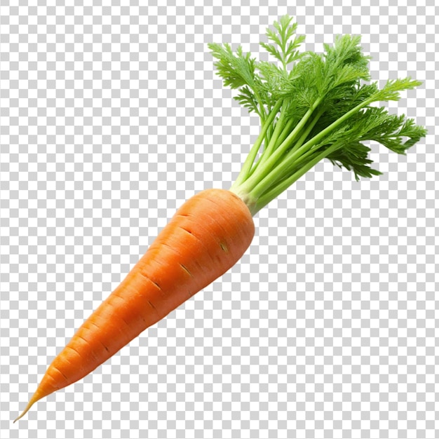 Carrot isolated on transparent background