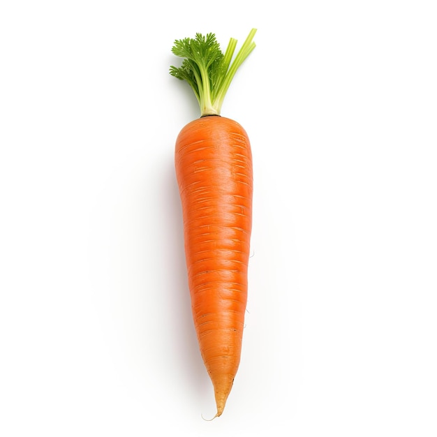 Carrot isolated on white background