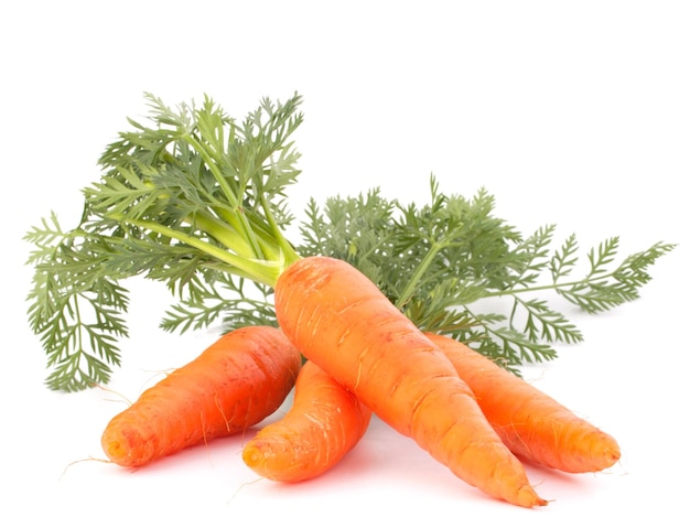 Carrot vegetable with leaves isolated on white background cutout