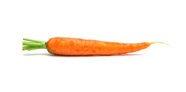 Carrot on white background isolated