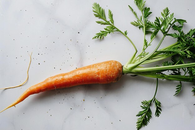 Carrot with green leaves on white marble background Healthy food concept