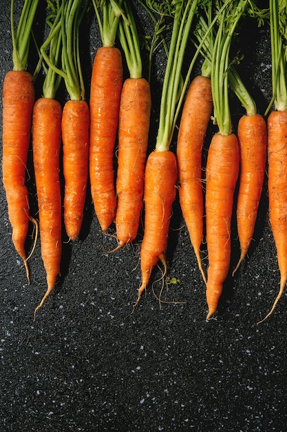 Carrot with tops in row