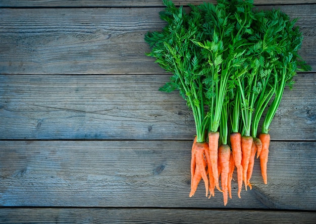 Carrot on wooden table background Fresh and sweet carrots for cooking food fruits and vegetables for health concept baby carrots bunch and leaf