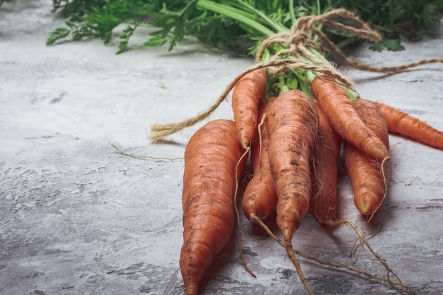 Carrots fresh crop on the table