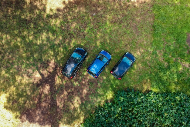 Cars parked on the lawn in the middle of the trees and on the grass.