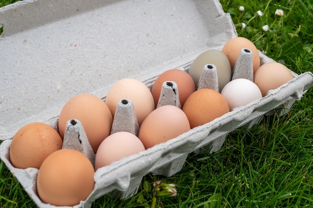 A Carton container with chicken eggs on the grass