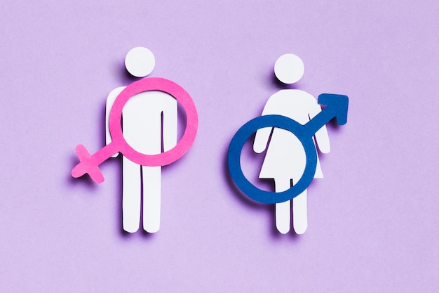 Cartoon woman and man with feminine and masculine signs on them