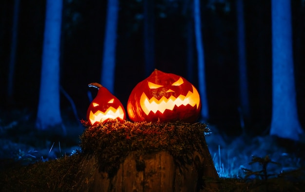 Carved pumpkin lanterns for halloween on a tree trunk in a gloomy forest concept of horror