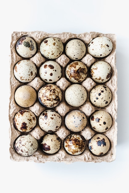 cassette of quail eggs quail eggs on white background