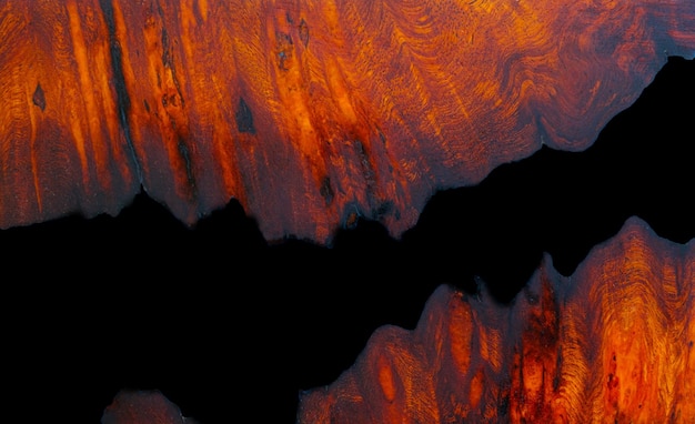 Casting epoxy resin panel with Padauk burl wood, Top view of wooden for the background