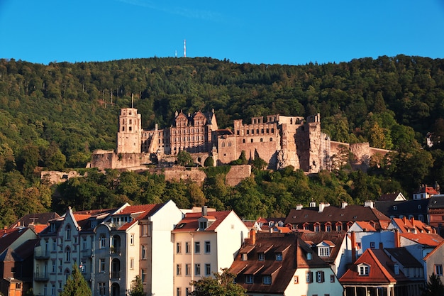 The castle in Heidelberg, Germany