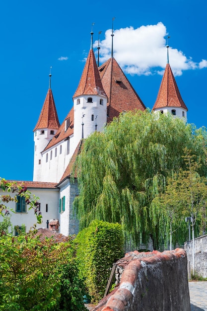 Castle of Thun