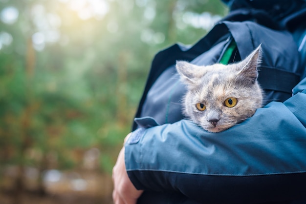 cat in a backpack sits at the man. walk with your pet in the woods.