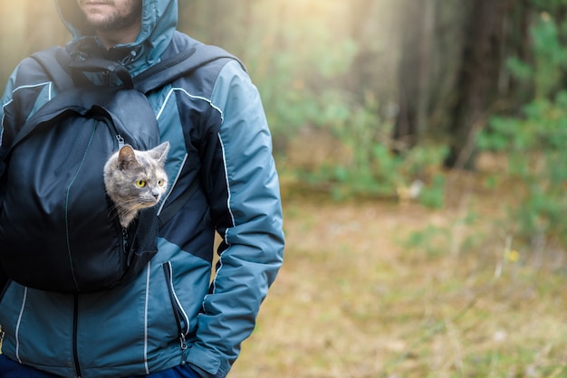 cat in a backpack sits at the man. walk with your pet in the woods.