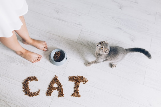 Cat at bowl and woman