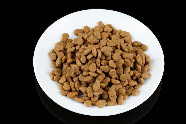 Cat food on a white plate Animal feed