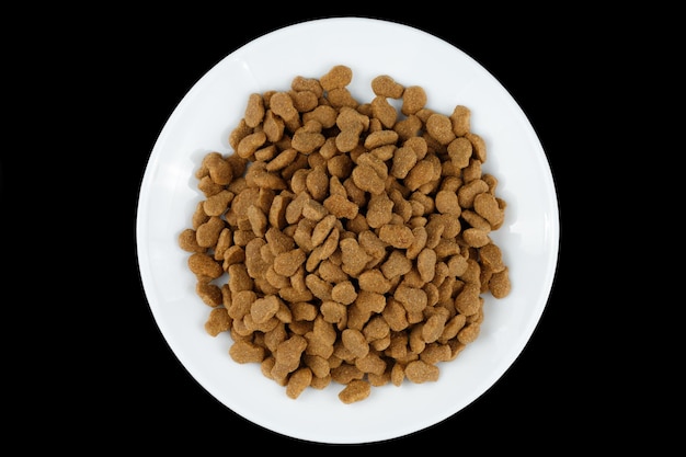 Cat food on a white plate Animal feed