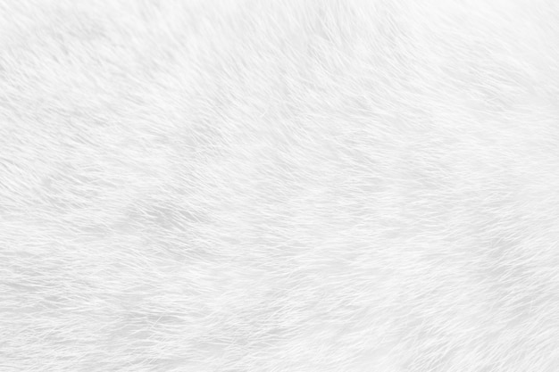 Cat fur close up background texture. White abstract stripes.