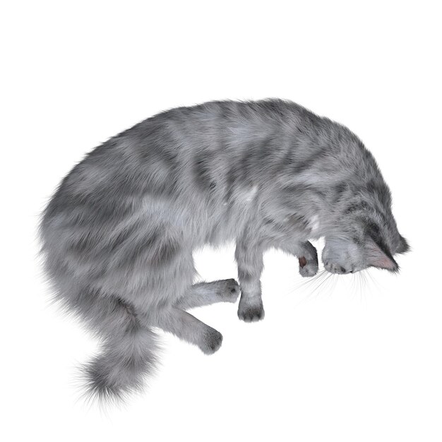 cat isolated on white background, 3D illustration, cg render