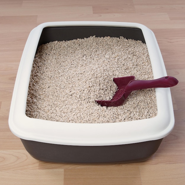 Cat litter box